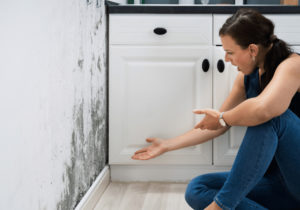 how to tell if i have mold in my home