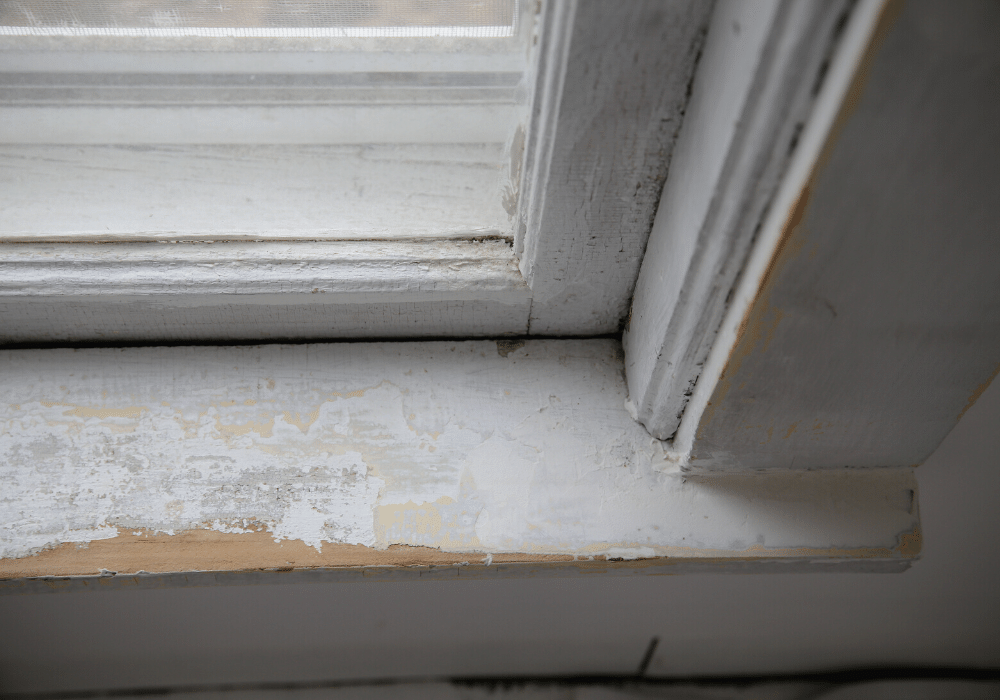 Everything You Need to Know About Lead Testing A.L. Home Inspections