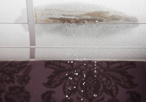 roof leak ceiling water damage in commercial building commercial property inspection services